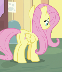 Size: 533x621 | Tagged: safe, screencap, fluttershy, pegasus, pony, fluttershy leans in, cropped, female, mare, plot, solo