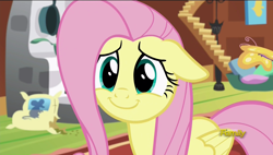 Size: 1920x1090 | Tagged: safe, screencap, fluttershy, pegasus, pony, fluttershy leans in, cute, daaaaaaaaaaaw, female, floppy ears, mare, shyabetes, smiling, solo