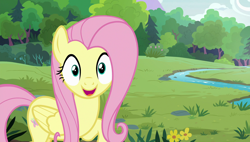 Size: 1920x1090 | Tagged: safe, screencap, fluttershy, pegasus, pony, fluttershy leans in, cute, female, looking at you, mare, open mouth, raised hoof, shyabetes, smiling, solo