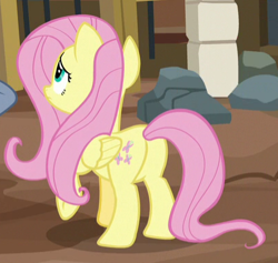 Size: 406x385 | Tagged: safe, screencap, fluttershy, pegasus, pony, fluttershy leans in, cropped, female, mare, plot, raised hoof, solo