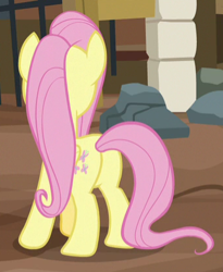 Size: 341x415 | Tagged: safe, screencap, fluttershy, pegasus, pony, fluttershy leans in, cropped, female, mare, plot, solo