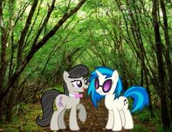 Size: 651x500 | Tagged: safe, dj pon-3, octavia melody, vinyl scratch, earth pony, pony, irl, photo, ponies in real life, ponies in the forest, shipping, tree