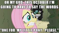 Size: 610x343 | Tagged: safe, edit, edited screencap, screencap, fluttershy, pegasus, pony, my little pony: the movie, the return of harmony, image macro, meme, nervous, scared, solo