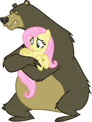 Size: 2228x2933 | Tagged: safe, artist:davidsfire, fluttershy, harry, bear, pegasus, pony, animal, carrying, duo, protecting, simple background, transparent background, vector