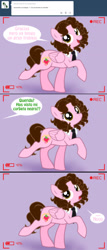 Size: 1236x2885 | Tagged: safe, artist:shinta-girl, oc, oc only, oc:shinta pony, ask, comic, spanish, translated in the description, tumblr