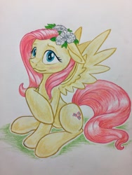 Size: 1024x1365 | Tagged: safe, artist:grokostimpy, fluttershy, pegasus, pony, blushing, cute, female, floppy ears, flower, flower in hair, looking at you, mare, shyabetes, simple background, sitting, solo, traditional art, white background