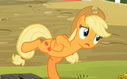 Size: 1920x1200 | Tagged: safe, screencap, applejack, earth pony, pony, applejack's "day" off, chicken dance, chickenjack, silly, silly pony, who's a silly pony