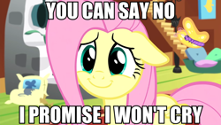 Size: 1366x768 | Tagged: safe, edit, edited screencap, screencap, fluttershy, butterfly, pegasus, pony, fluttershy leans in, image macro, meme, solo, this will end in tears, totally legit recap, wide eyes