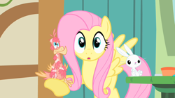 Size: 1280x720 | Tagged: safe, screencap, angel bunny, fluttershy, philomena, bird, pegasus, phoenix, pony, rabbit, a bird in the hoof, cute, feather, female, male, mare, tape, trio