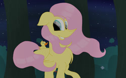 Size: 512x320 | Tagged: safe, artist:littlelynxs04, fluttershy, duck, pegasus, pony, solo