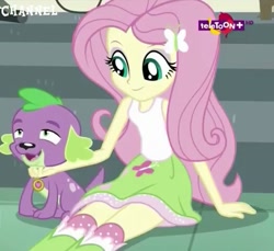 Size: 525x480 | Tagged: safe, screencap, fluttershy, spike, spike the regular dog, dog, dance magic, equestria girls, spoiler:eqg specials, chin scratch, clothes, cropped, cute, lidded eyes, paws, skirt, smiling, socks, spikelove, stairs, teletoon