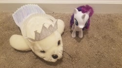 Size: 4032x2268 | Tagged: safe, rarity, pony, seal, unicorn, clothes, crown, dress, jewelry, paper crown, paper dress, regalia