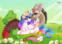 Size: 2500x1779 | Tagged: safe, artist:amanddica, discord, princess celestia, alicorn, pony, border, chest fluff, day, dislestia, female, flower, flowing mane, looking at each other, male, missing accessory, prone, shipping, signature, straight, sunshine, wing fluff, wingding eyes