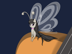 Size: 1024x768 | Tagged: safe, artist:jollythinker, octavia melody, breezie, breeziefied, cute, solo, species swap