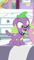 Size: 223x396 | Tagged: safe, screencap, fluttershy, spike, spike the regular dog, dog, dance magic, equestria girls, spoiler:eqg specials, bed, cropped, paws, smiling, solo focus