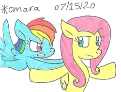 Size: 898x684 | Tagged: safe, artist:cmara, derpibooru import, fluttershy, rainbow dash, pegasus, pony, dragon quest, female, fluttershy is not amused, gritted teeth, mare, scene interpretation, simple background, traditional art, unamused, white background