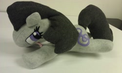 Size: 2592x1552 | Tagged: safe, artist:stormynight79, octavia melody, earth pony, pony, irl, photo, plushie