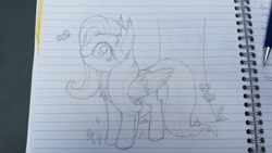 Size: 2560x1440 | Tagged: safe, artist:bigshot232, fluttershy, butterfly, pegasus, pony, cheek fluff, chest fluff, ear fluff, folded wings, lined paper, looking at something, looking up, pencil drawing, smiling, solo, traditional art