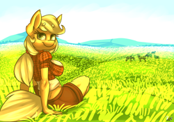 Size: 1400x980 | Tagged: safe, artist:ogaraorcynder, applejack, anthro, applerack, big breasts, breasts, clothes, female, field, midriff, shorts, solo