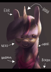 Size: 927x1303 | Tagged: dead source, safe, artist:berrydrops, derpibooru import, twilight sparkle, pony, unicorn, bandana, bust, female, glasses, label, mare, solo