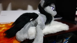 Size: 1472x829 | Tagged: artist needed, safe, octavia melody, earth pony, pony, irl, photo, plushie