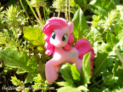 Size: 900x675 | Tagged: safe, artist:the-nunnally, pinkie pie, pony, irl, photo, plant, solo, toy