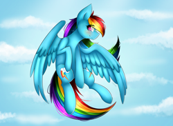 Size: 4500x3300 | Tagged: safe, artist:lyapustk, derpibooru import, rainbow dash, pegasus, pony, backwards cutie mark, blushing, female, flying, high res, mare, profile, sky, solo, spread wings, wings