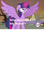 Size: 424x600 | Tagged: safe, derpibooru import, twilight sparkle, twilight sparkle (alicorn), alicorn, pony, exploitable, exploitable meme, female, hub logo, mare, meme, template, who destroyed twilight's home