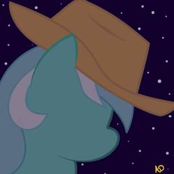 Size: 1000x1000 | Tagged: safe, artist:yuradhear, lyra heartstrings, cowboy hat, hat, night, profile, solo