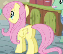 Size: 433x374 | Tagged: safe, screencap, fluttershy, gentle breeze, pegasus, pony, flutter brutter, cropped, female, mare, plot