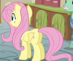 Size: 443x376 | Tagged: safe, screencap, fluttershy, pegasus, pony, flutter brutter, cropped, female, mare, plot, solo focus