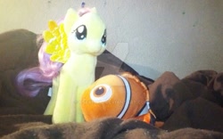 Size: 1024x638 | Tagged: safe, artist:user15432, fluttershy, fish, pegasus, pony, crossover, disney, disney pixar, finding dory, finding nemo, irl, nemo, photo, plushie, real world, toy, toyshy, watermark