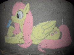 Size: 3648x2736 | Tagged: safe, artist:malte279, fluttershy, bird, pegasus, pony, chalk drawing, traditional art