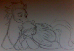 Size: 567x389 | Tagged: safe, artist:enigmaticfrustration, octavia melody, soarin', earth pony, pony, female, male, monochrome, shipping, soartavia, straight, traditional art