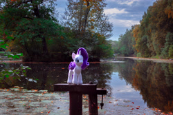 Size: 5749x3833 | Tagged: safe, artist:7yashka7, rarity, pony, autumn, irl, nature, photo, plushie, ponies in real life, solo