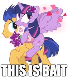 Size: 705x810 | Tagged: safe, artist:dm29, derpibooru import, edit, flash sentry, twilight sparkle, twilight sparkle (alicorn), alicorn, pegasus, pony, best ship, blushing, bouquet, box, box of chocolates, brony history, carrying, cute, cutie mark, derpibooru history, derpibooru legacy, diasentres, drama bait, eternal thread, female, flashlight, flower, flower in hair, folded wings, food, happy, heart, hearts and hooves day, holiday, hoof hold, image macro, legendary, letter, lilacs, looking back, looking up, male, mare, meme, meta, mouth hold, ponies riding ponies, raised hoof, riding, shipping, signature, simple background, smiling, song in the comments, spread wings, stallion, straight, the eternal thread, the former eternal thread, the image formerly known as the eternal thread, the image that started zeb's eternal feud with sirbumpaous, thread war, transparent background, trotting, twiabetes, valentine's day, valentine's day card, vector, wall of tags, wings