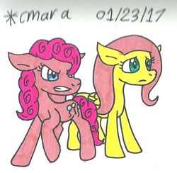 Size: 678x662 | Tagged: safe, artist:cmara, fluttershy, pinkie pie, earth pony, pegasus, pony, andrea libman, traditional art, voice actor joke