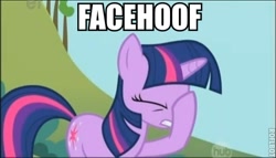 Size: 474x271 | Tagged: safe, derpibooru import, screencap, twilight sparkle, facehoof, image macro, meme, solo