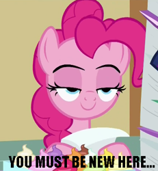 Size: 380x411 | Tagged: safe, screencap, pinkie pie, pony, a flurry of emotions, cropped, lidded eyes, solo, you must be new here