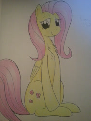 Size: 2448x3264 | Tagged: safe, artist:taurson, fluttershy, pegasus, pony, chest fluff, cute, female, lidded eyes, mare, sitting, solo, traditional art