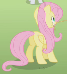 Size: 257x284 | Tagged: safe, screencap, fluttershy, rarity, pegasus, pony, unicorn, the return of harmony, cropped, female, mare, mouth hold, plot, solo focus