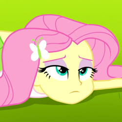 Size: 540x540 | Tagged: safe, screencap, fluttershy, equestria girls, friendship games, cropped, female, solo