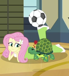 Size: 646x713 | Tagged: safe, screencap, fluttershy, tortoise, equestria girls, rainbow rocks, shake your tail, boots, clothes, cropped, female, football, hat, party hat, sad, shoes, skirt