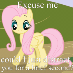 Size: 400x400 | Tagged: safe, edit, edited screencap, screencap, fluttershy, pegasus, pony, friendship is magic, animated, bronybait, cropped, cute, frown, gif, horses doing horse things, image macro, looking down, meme, pawing the ground, red dwarf, shifty eyes, shy, solo