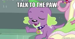 Size: 600x317 | Tagged: safe, edit, edited screencap, screencap, fluttershy, spike, spike the regular dog, dog, dance magic, equestria girls, spoiler:eqg specials, eyes closed, open mouth, talk to the hand, talk to the paw, teletoon