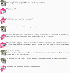 Size: 844x876 | Tagged: safe, artist:dziadek1990, cloudy quartz, pinkie pie, earth pony, pony, conversation, dialogue, emote story, emotes, palette swap, ponymote, recolor, reddit, slice of life, text