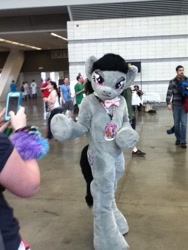 Size: 360x480 | Tagged: safe, octavia melody, earth pony, pony, cosplay, fursuit, irl, photo