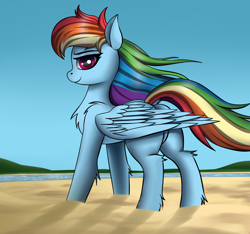 Size: 3200x3000 | Tagged: safe, artist:sanroys, derpibooru import, rainbow dash, pegasus, pony, beach, chest fluff, female, high res, leg fluff, looking at you, mare, profile, sand, solo, windswept mane