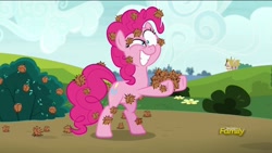 Size: 1920x1080 | Tagged: safe, screencap, pinkie pie, pony, rock solid friendship, bipedal, discovery family logo, eye scream, solo, stingbush seed pods