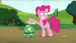 Size: 1920x1080 | Tagged: safe, screencap, pinkie pie, tank, pony, rock solid friendship, animal, discovery family logo